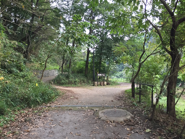 体験ゾーンの分かれ道